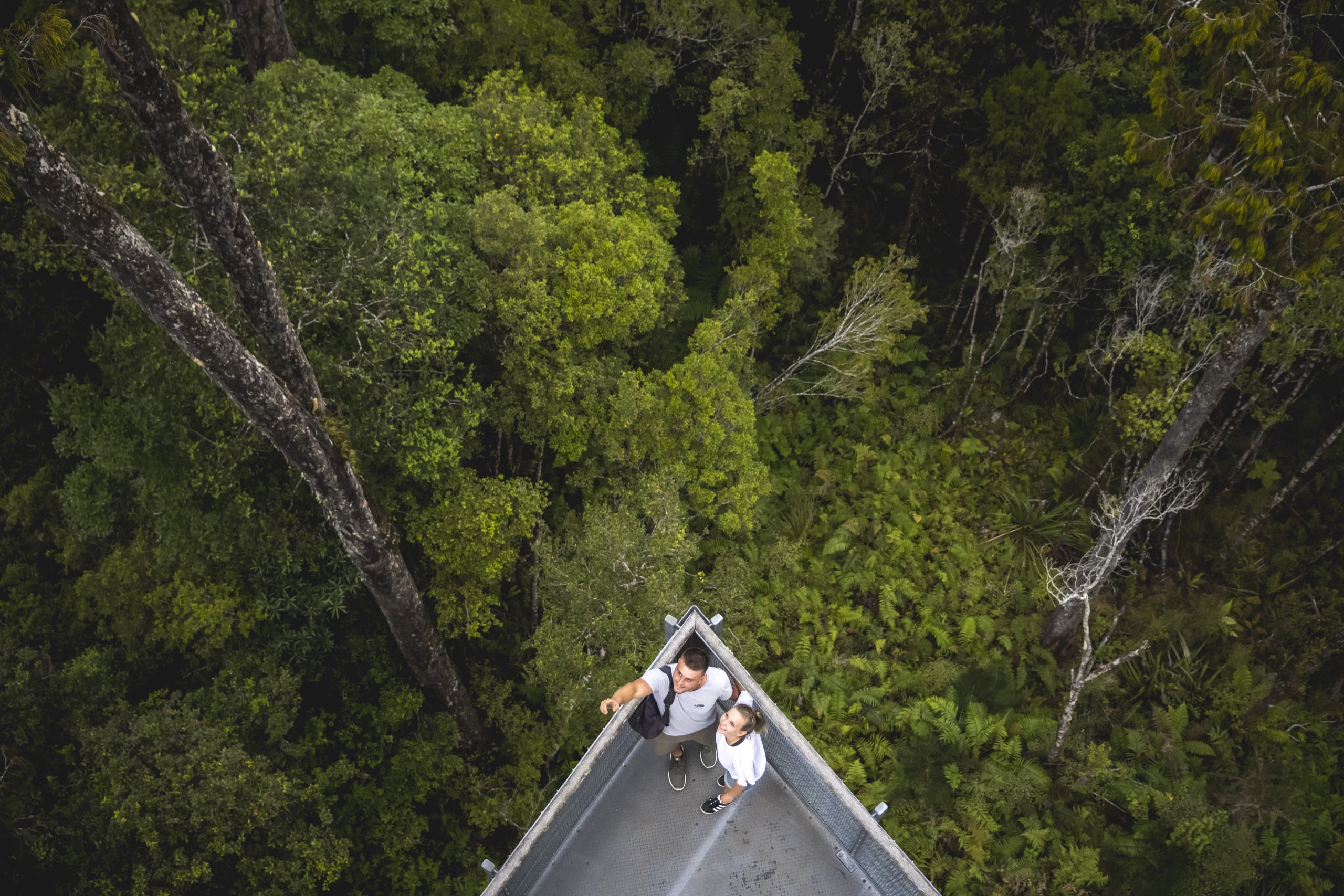 New Zealand Landscape